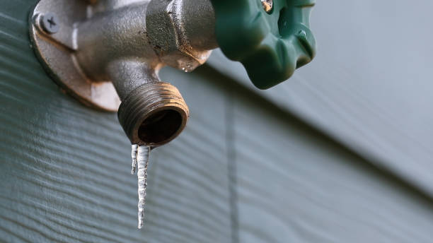 Best Residential Plumbing Services  in Littlefield, TX